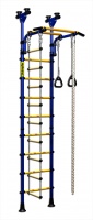 Детский спортивный комплекс ДСК Kampfer Strong kid ceiling