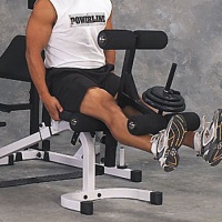 Опция сгибание-разгибание ног Body Solid Powerline PLDA1