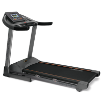 Беговая дорожка BRONZE GYM T801 LC TFT