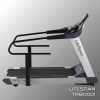 Беговая дорожка — LifeSpan TR8000i
