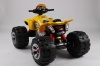 Детский Квадроцикл Rivertoys BEACH CAR JS 318 
