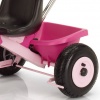 Детский трехколесный велосипед Kettler Happytrike Air Starlet 8849-600