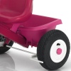 Детский трехколесный велосипед Kettler ToptrikeAirLayana 8849-100