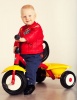 Детский трехколесный велосипед Kettler Supertrike 8826-100