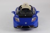 Электромобиль Rivertoys TESLA A222MP 