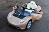 Электромобиль Rivertoys TESLA A222MP 
